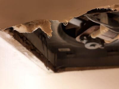 Professional storm damage restoration services in Waltham - water damage restoration service